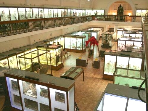 Featured exhibit at Horniman Museum and Gardens