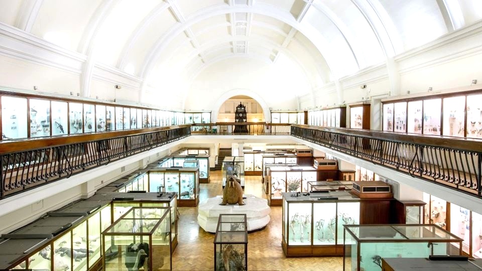 Featured exhibit at Horniman Museum and Gardens